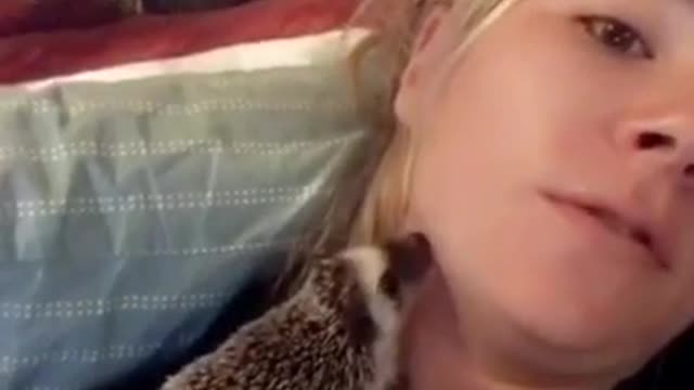 Hedgehog bites ladys neck