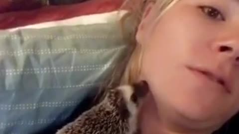 Hedgehog bites ladys neck