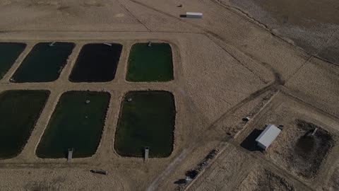 Carver Farm - Lincoln University Collge of Agriculture, Environmental & Human Sciences