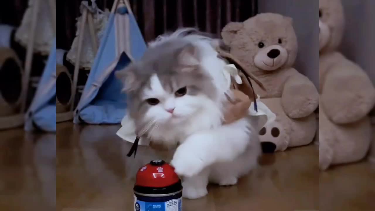What a lovely kitten. She will ring the bell to tell her master: I'm hungry and want to eat