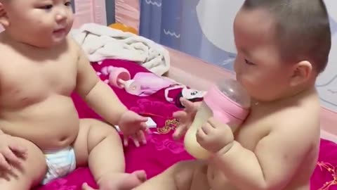 Babies battle