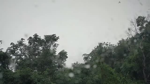 Listen to the sound of rain with this beautiful music and relax!