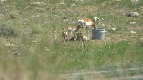 Mom and her triplets