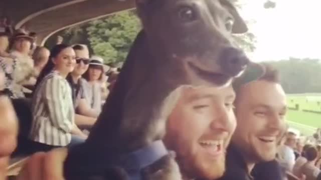 What was he thinking 😳😳😂