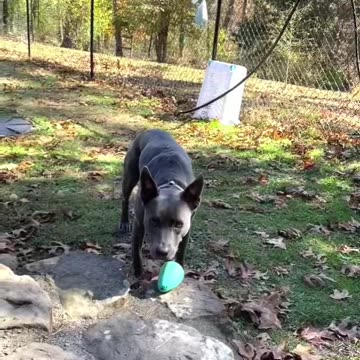 Stop wasting your time