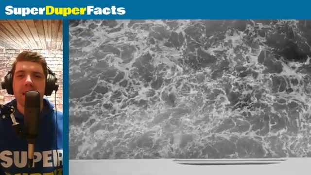 Could Titanic Survive a Head On Collision with the Iceberg? #Factvideo1