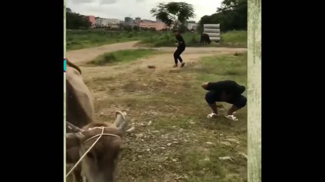 Top Funny videos 2021 -