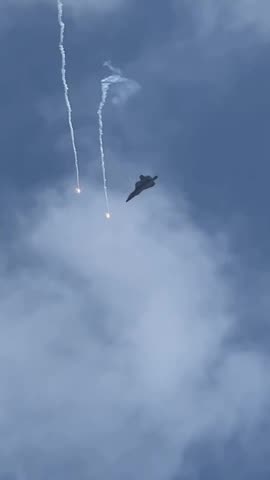 WELCOME TO THE JUNGLE