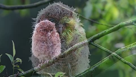 ☆☆☆Birds in their Good mood Part-3☆☆☆