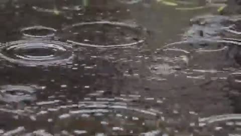 PIANO MUSIC WITH RAIN TO RELAX AVELINAX AURA