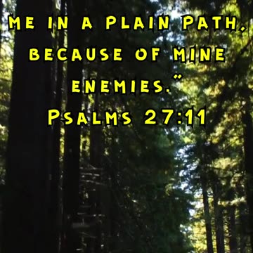 Psalms 27:11