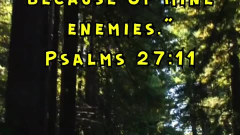 Psalms 27:11