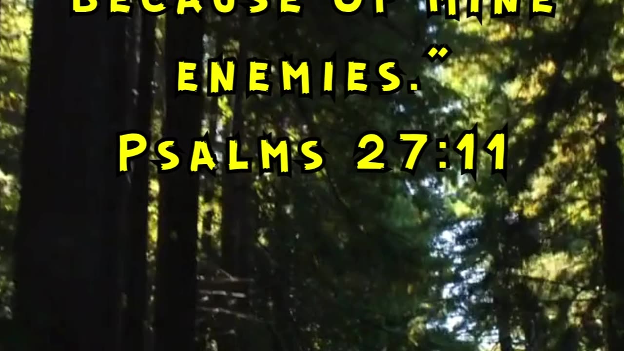 Psalms 27:11