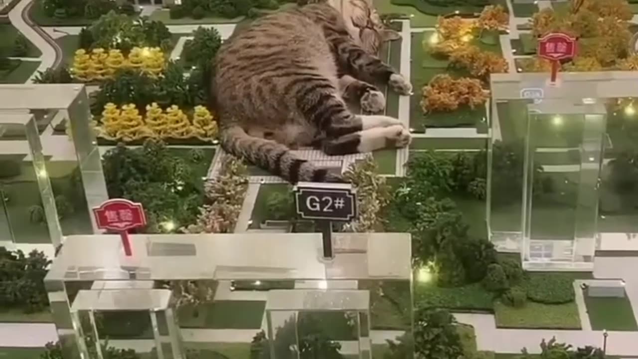Funny_animals_2023π_-_Funniest_Cats_and_Dogs_Videoππ