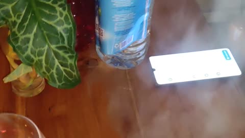 Looking Cooking