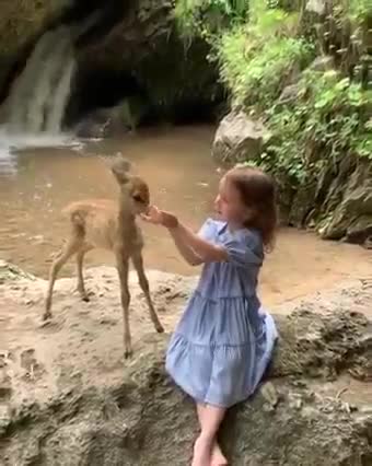 MORNING WORLD 🌎 🙏