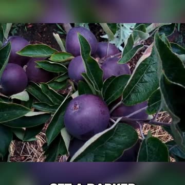 Discover the Mysteries of Nature: Unveiling the Secrets of Earth's Colors