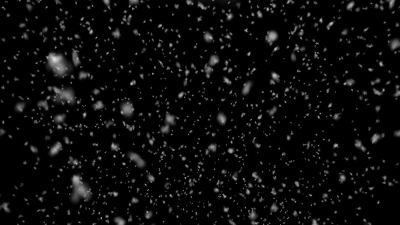 Reckoning - Coty Davis