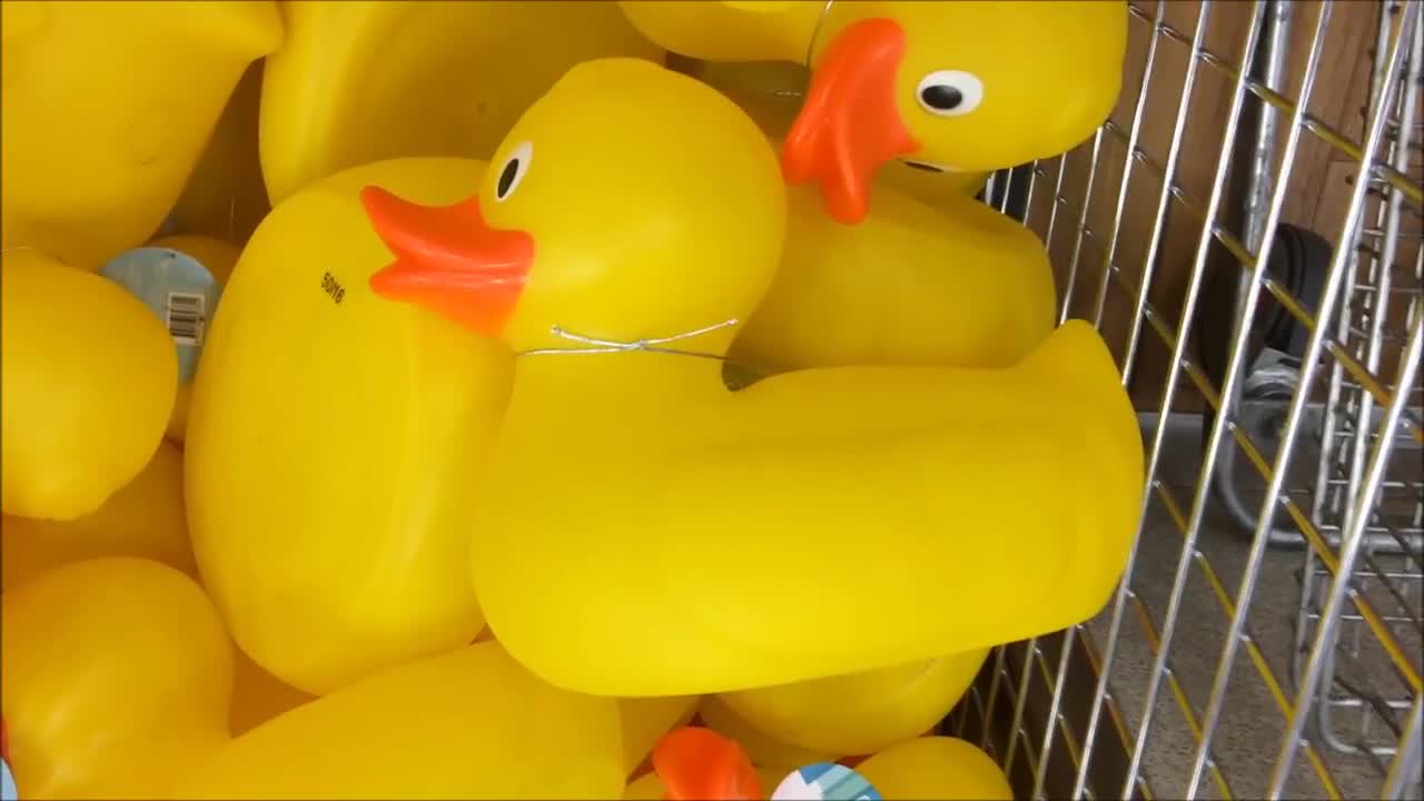 Rubber Ducky Bath Toy