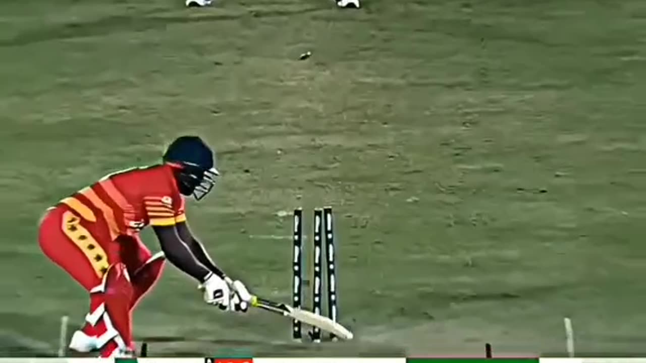 Shaheen 5 Off 33