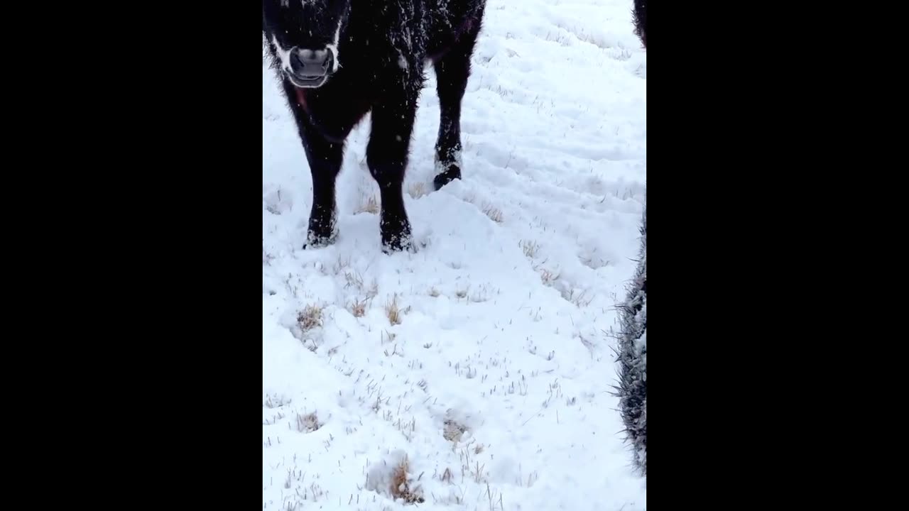 ..I just wanted to remind you all that winter is coming...