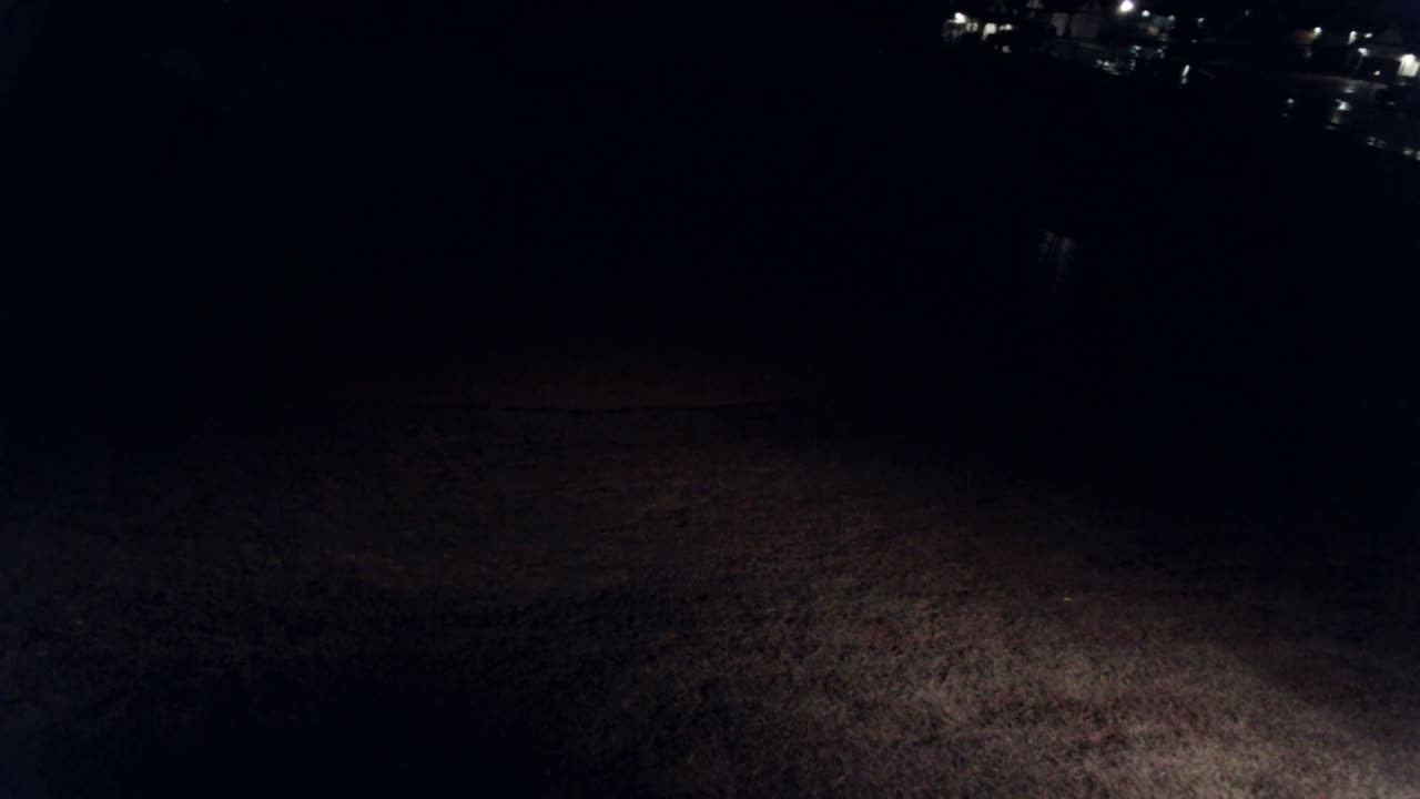 The Pond