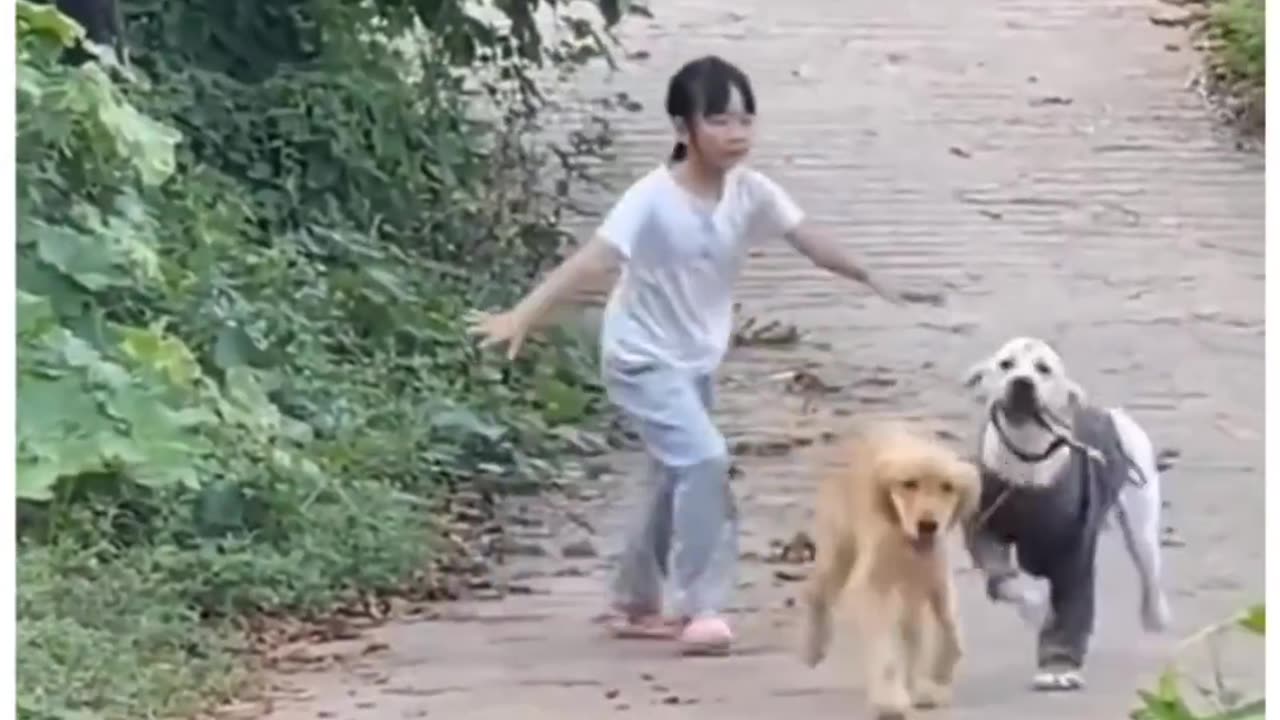 Dog save another Dog form his master