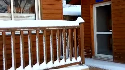 Snowfall scene, in the northern region of Morocco