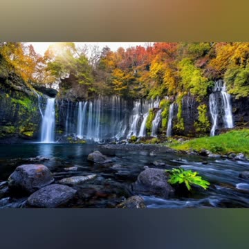 Nature beauty photography 🌿🌿🌿🌺🏵️