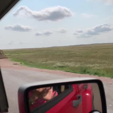 Super slow mo Buffalo