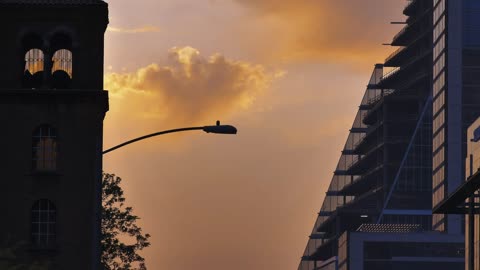 Cars on an avenue of a big city during sunset