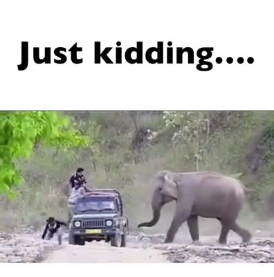 Just kidding me know if