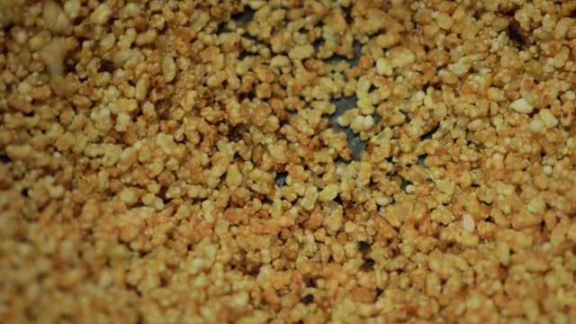 Choose Roasted over Fried Snacks | Eatier