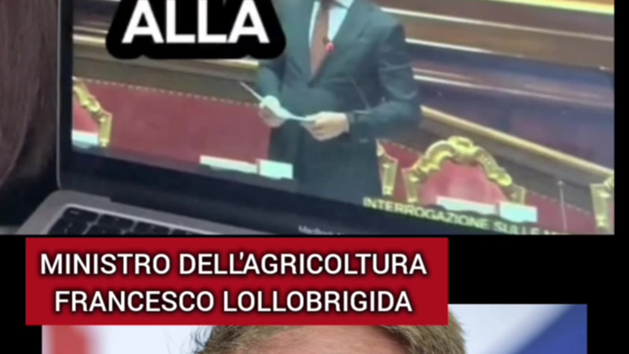 SENTITE WUESTA!