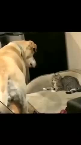 420's CLIP OF THE DAY OCTOBER 30, 2024