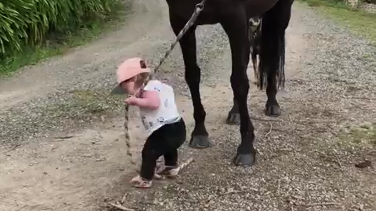 - Little Girl Leads Horse