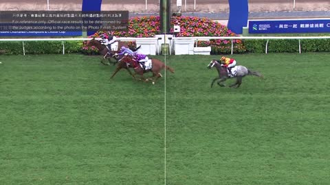 Horse_Race_2022052201_Chinese