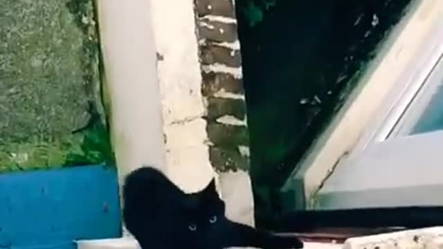 2.mission impossible 4 🤣😂