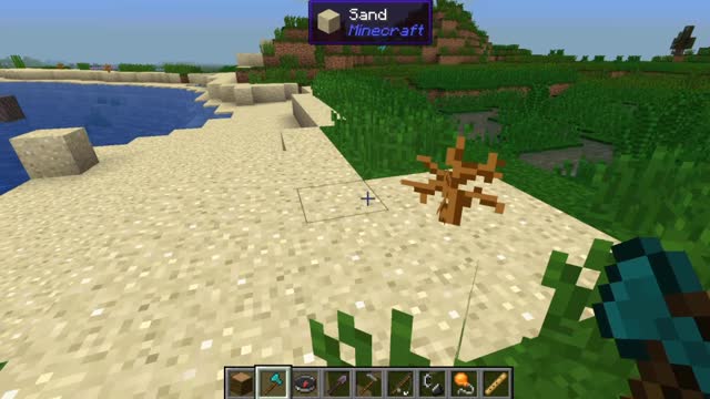 Minecraft vanilla skin version 1.17.1_Shorts_30