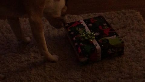 Christmas came early for Bubba