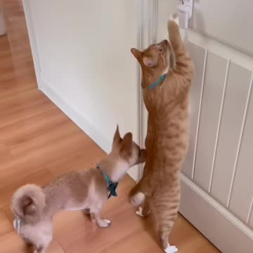 Partners 😎😎 in Crime 😞😞💔