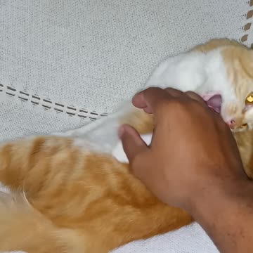 Don't bite me, lelinha.