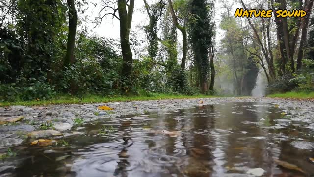 Sounds of rain on the ground