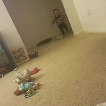 Tot Boy Plays Fetch With A Ball Like A Dog