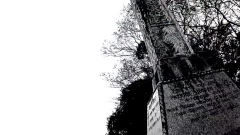 DEAD-LEDGER-TEXT