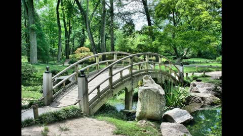 Relaxing - Meditation Japanese Nature Instrumental
