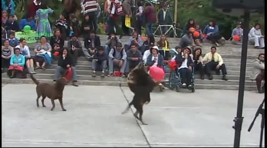 Perros Futboleros