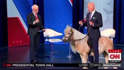 Lying dog faced pony soldier