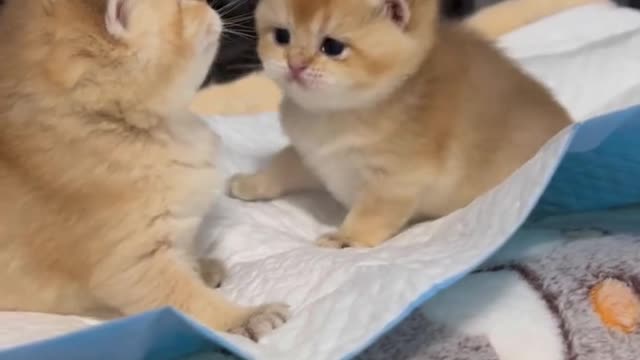 The two of you have to love each other