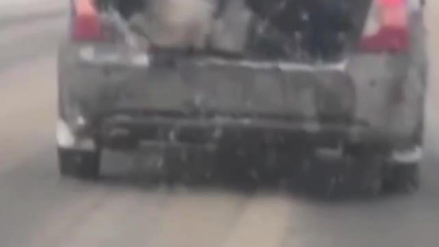 Dash Cam Car Crash 8 a little dog